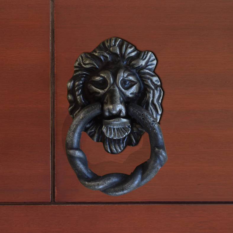 Leo Brass Door Knocker