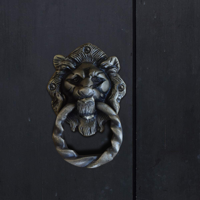 Lior Brass Door Knocker