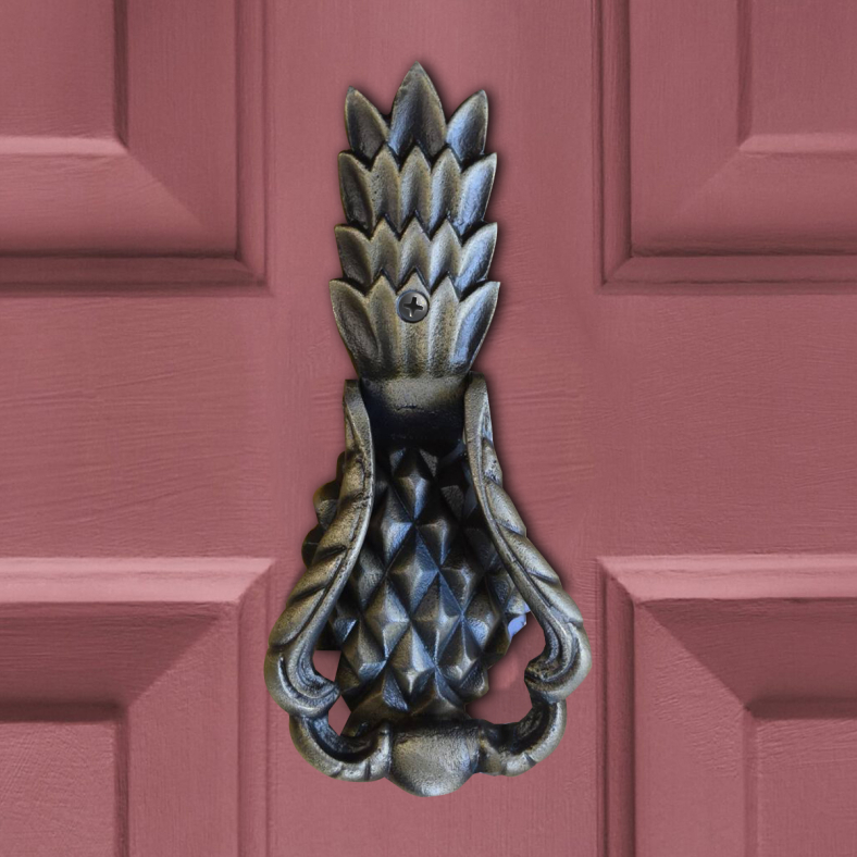 Pina Brass Door Knocker