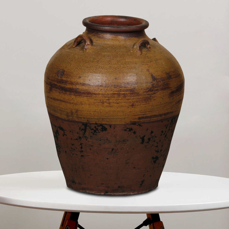 Iggy Ceramic Pot