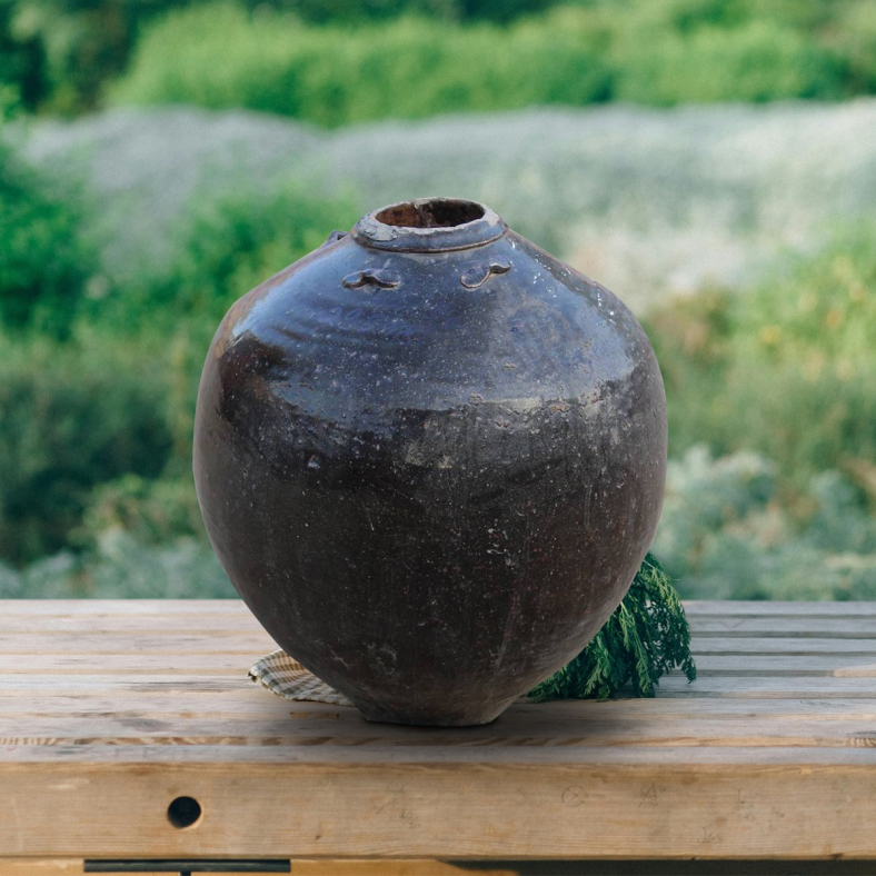 Nirelys Ceramic Pot 
