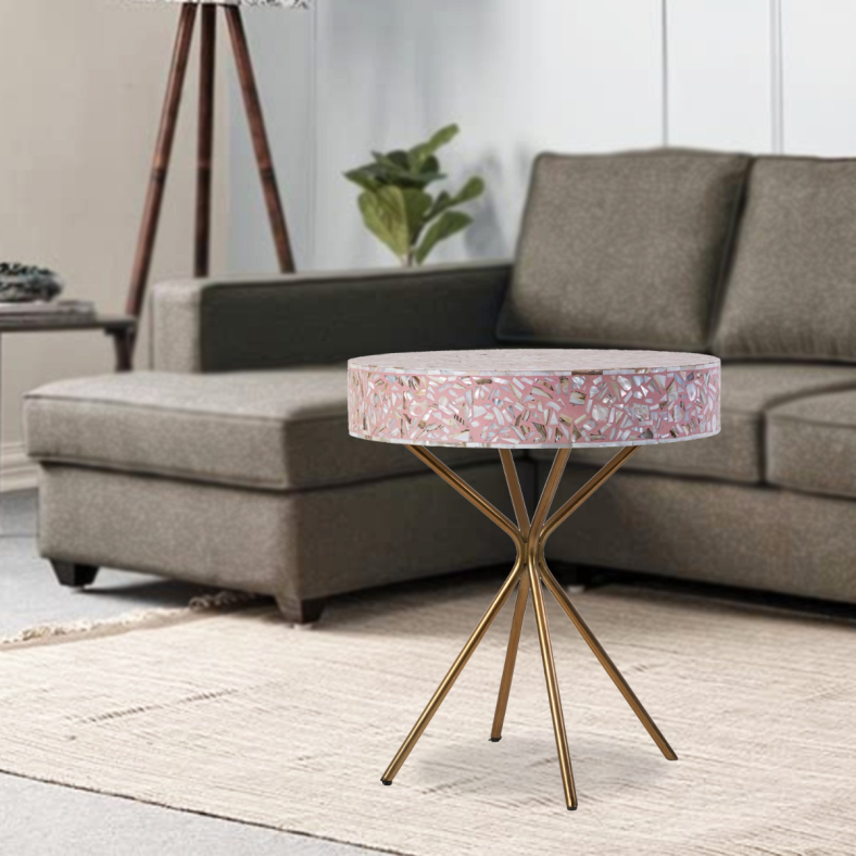 Aerin mother of pearl coffee table 