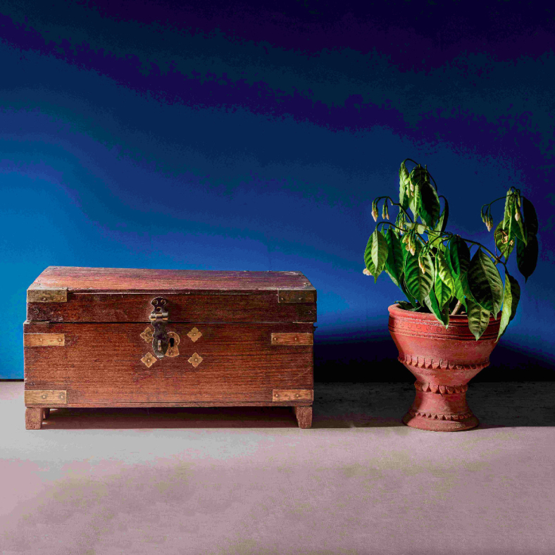 Aindrea Vintage Wooden Trunk 