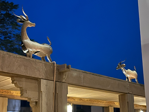 Welcomhotel by ITC Hotels, Jodhpur